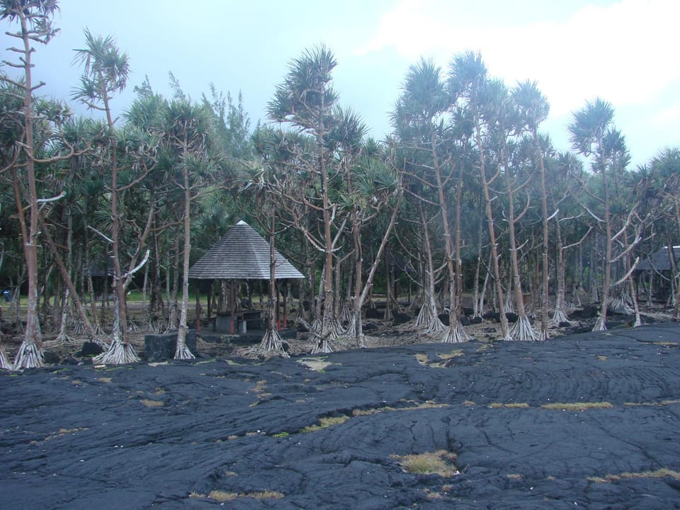 Natural landscape