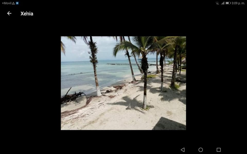 Buccaneer Resort Resort in Bocas del Toro Province