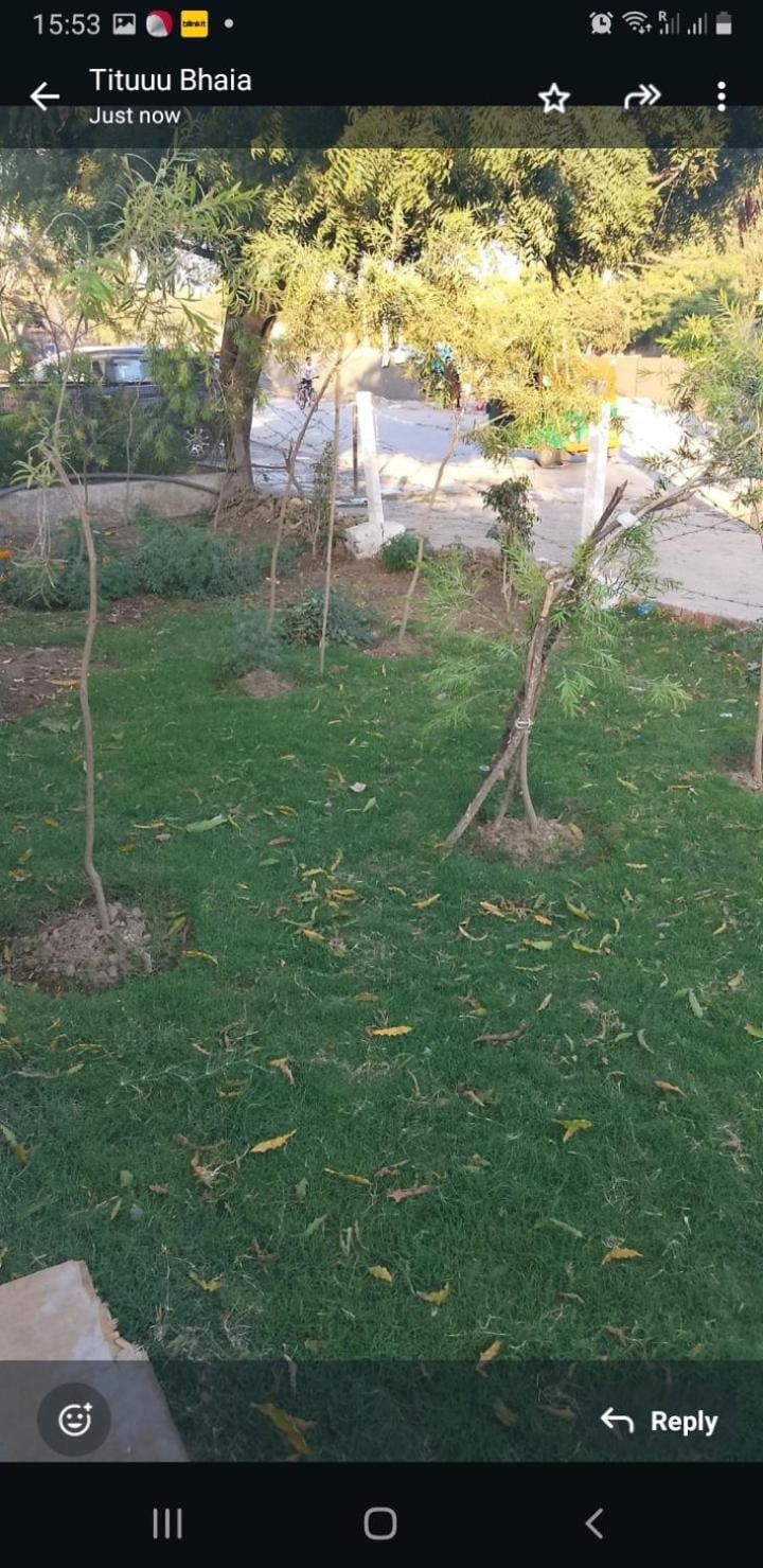 Garden view