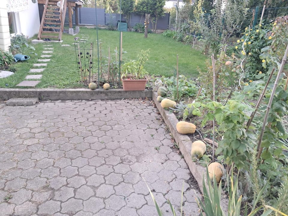 Garden, Garden