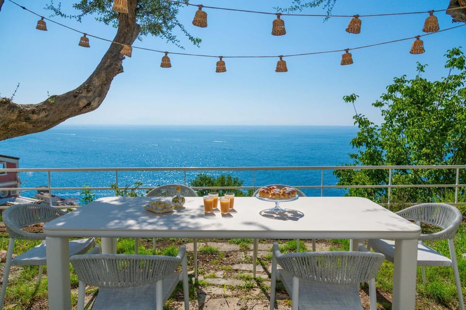 Patio, Garden, Garden view