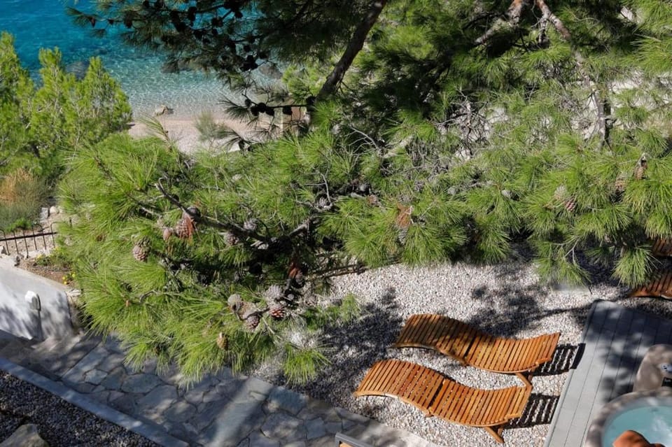 Patio, Garden, Garden view