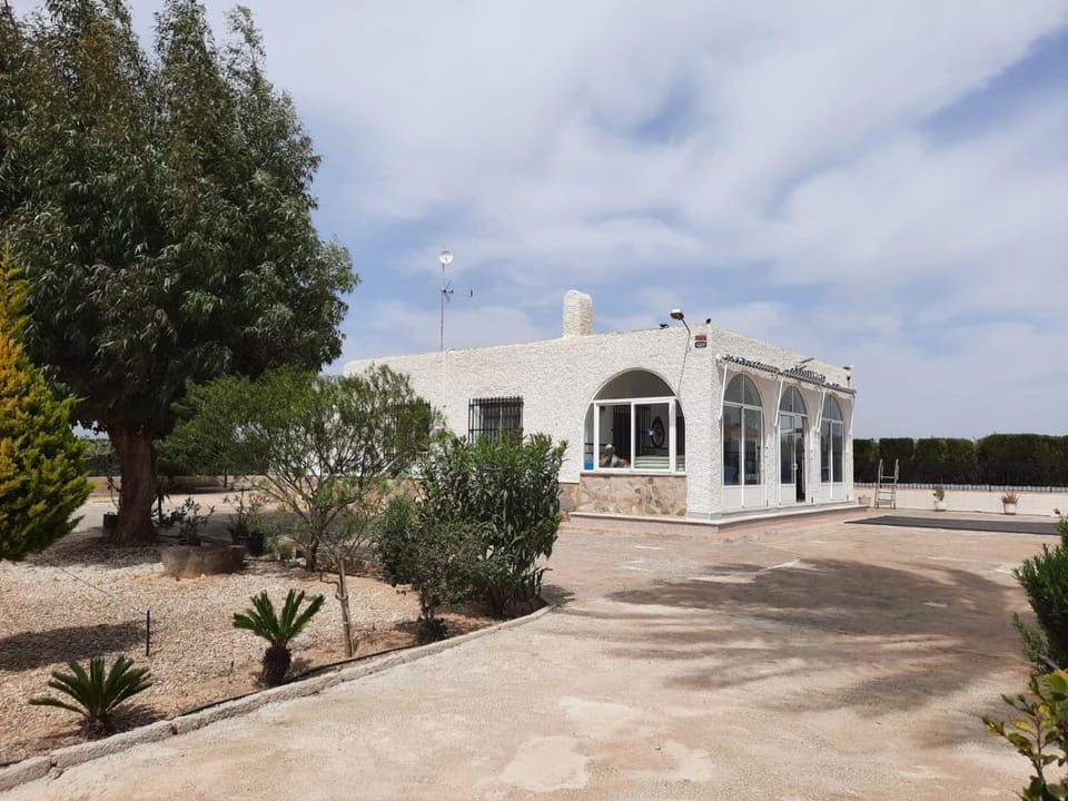 Property building, Day, Garden, Garden