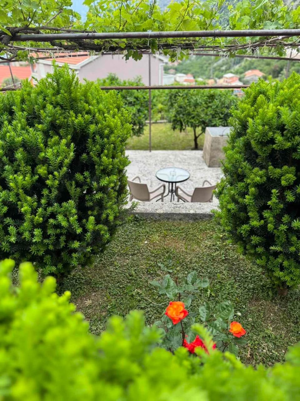 Balcony/Terrace