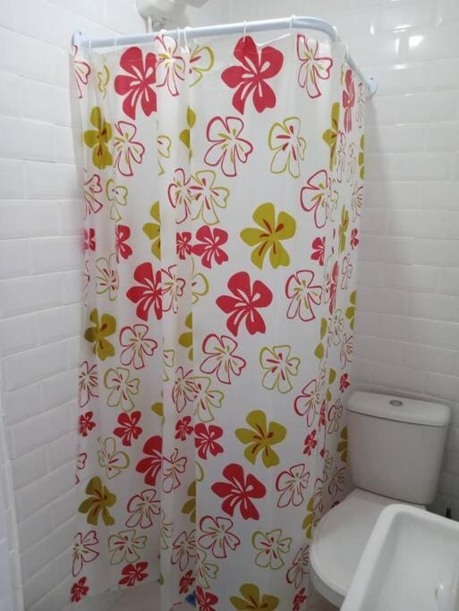 Centro do Rio Apartment in Santa Teresa