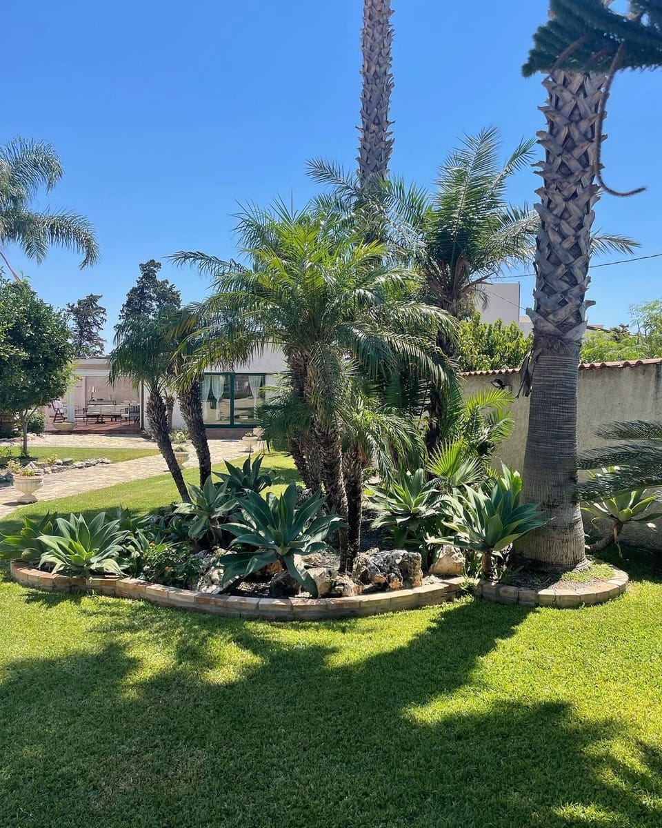 Garden view