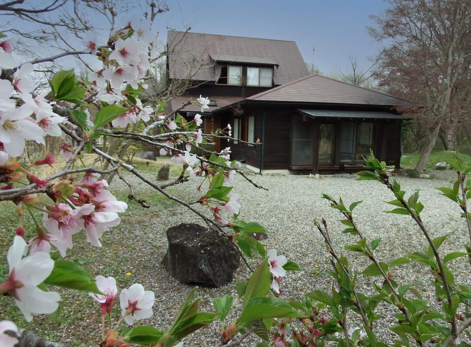 Property building, Spring, Day, Garden, Garden view