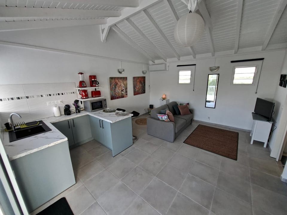 Living room, kitchen