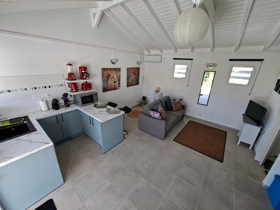 Living room, kitchen