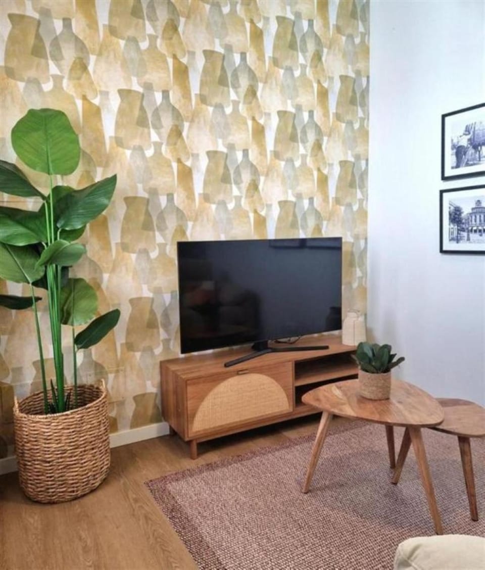 Communal lounge/ TV room, TV and multimedia