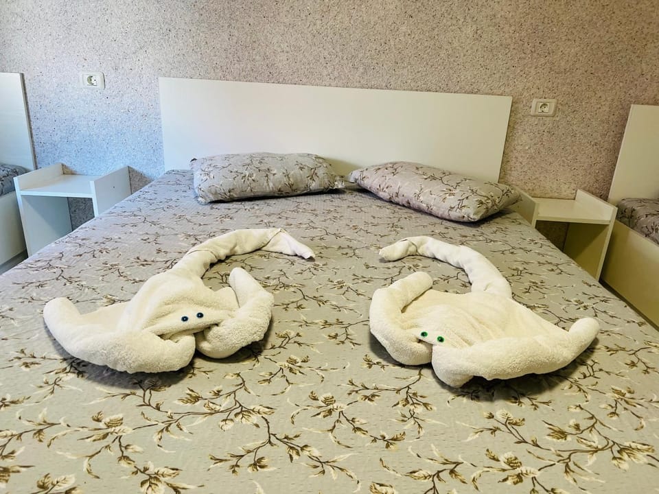 Amalya Bed and Breakfast in Constanta