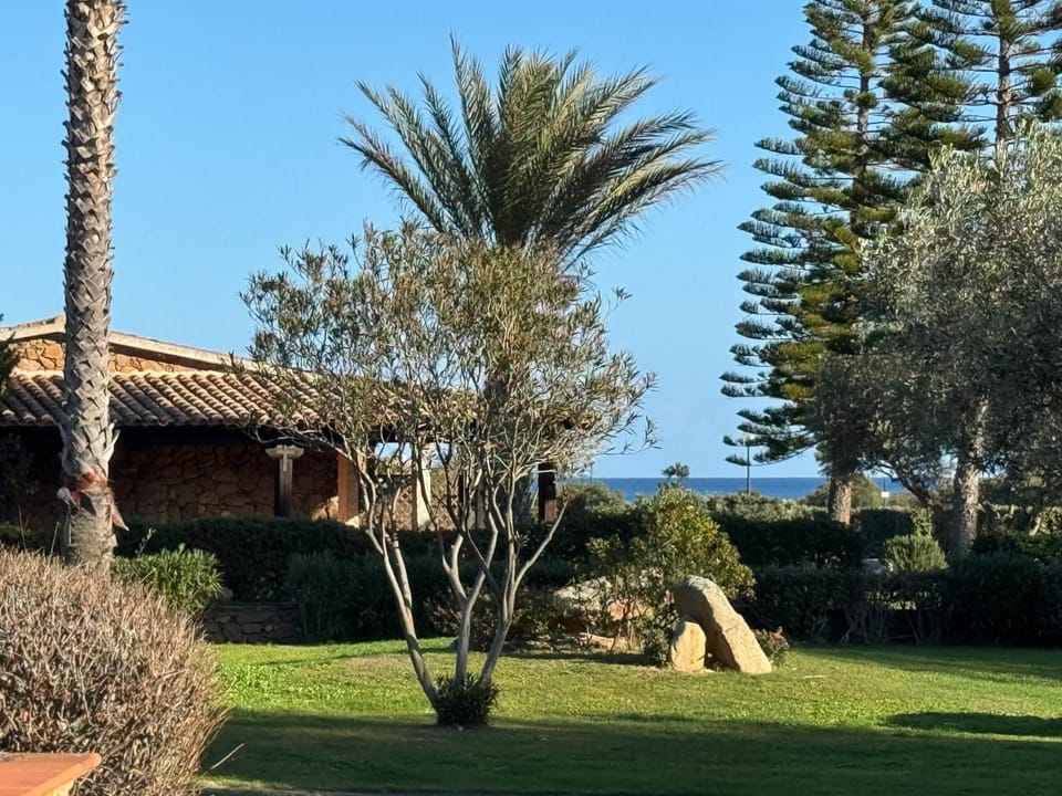 Garden view