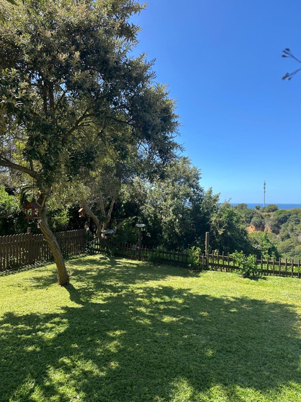 Natural landscape, Garden view