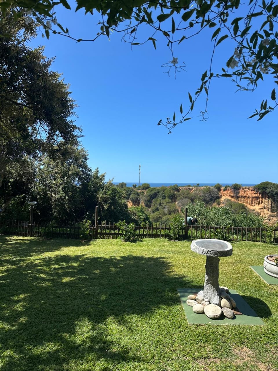 Garden view