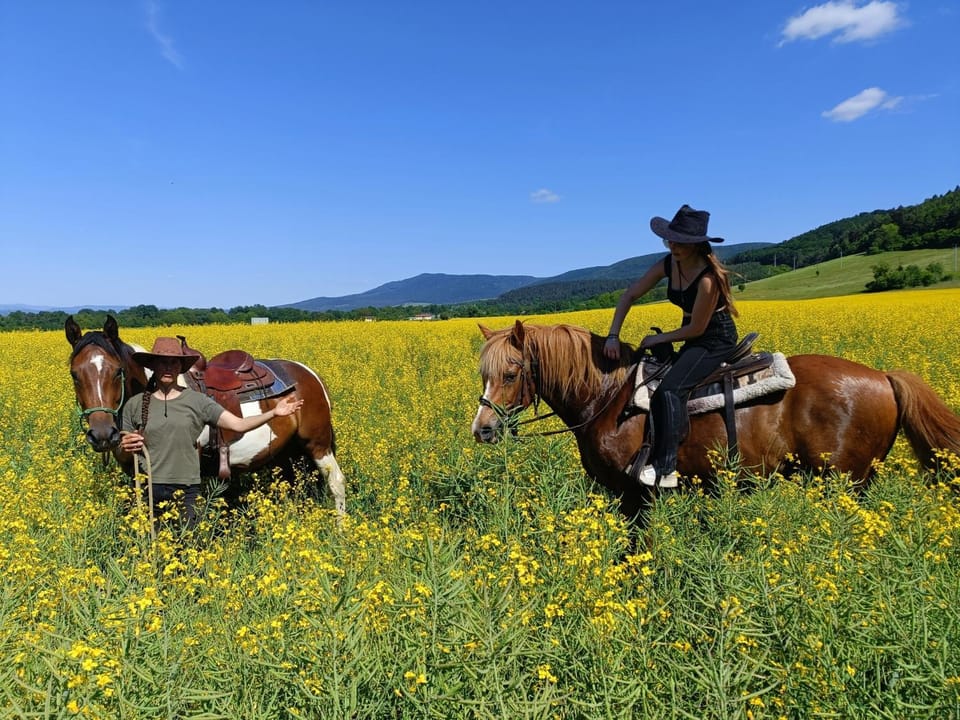 Horse-riding