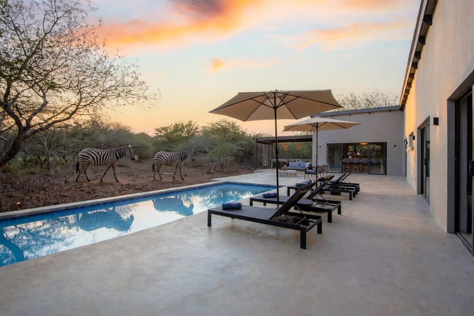 Property building, Animals, Swimming pool