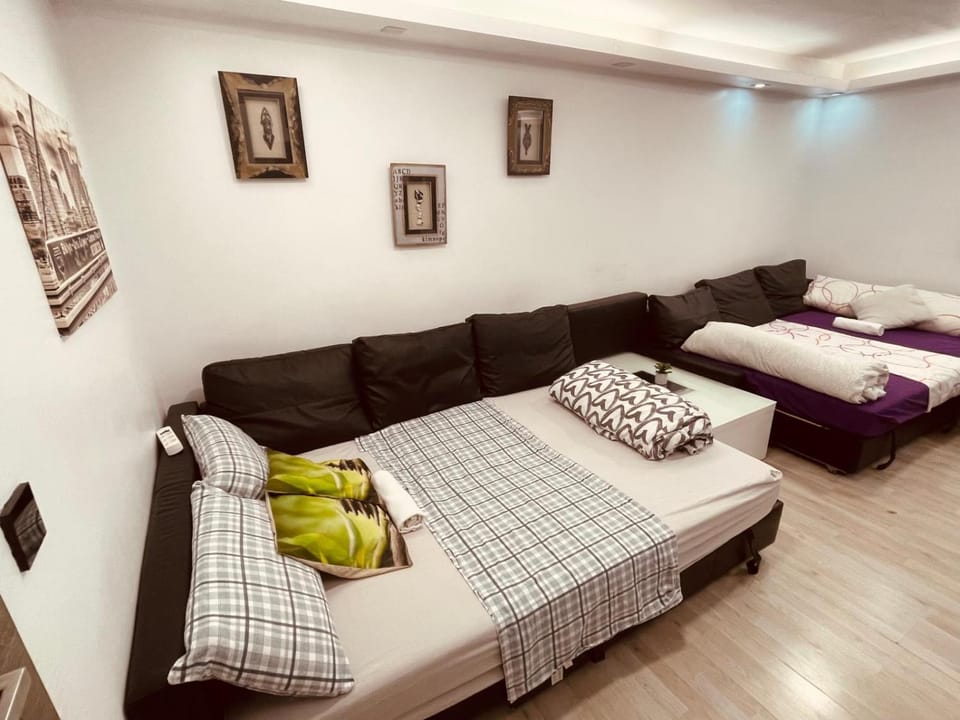 Salón privado ful aire Apartment in Madrid