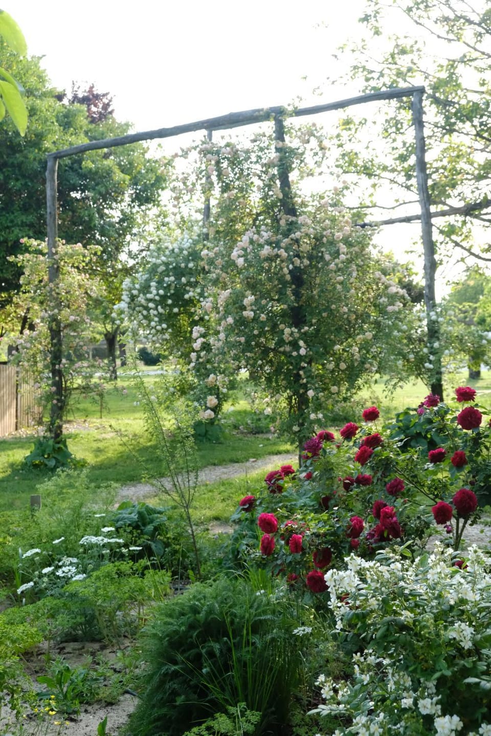 Spring, Garden, Garden view