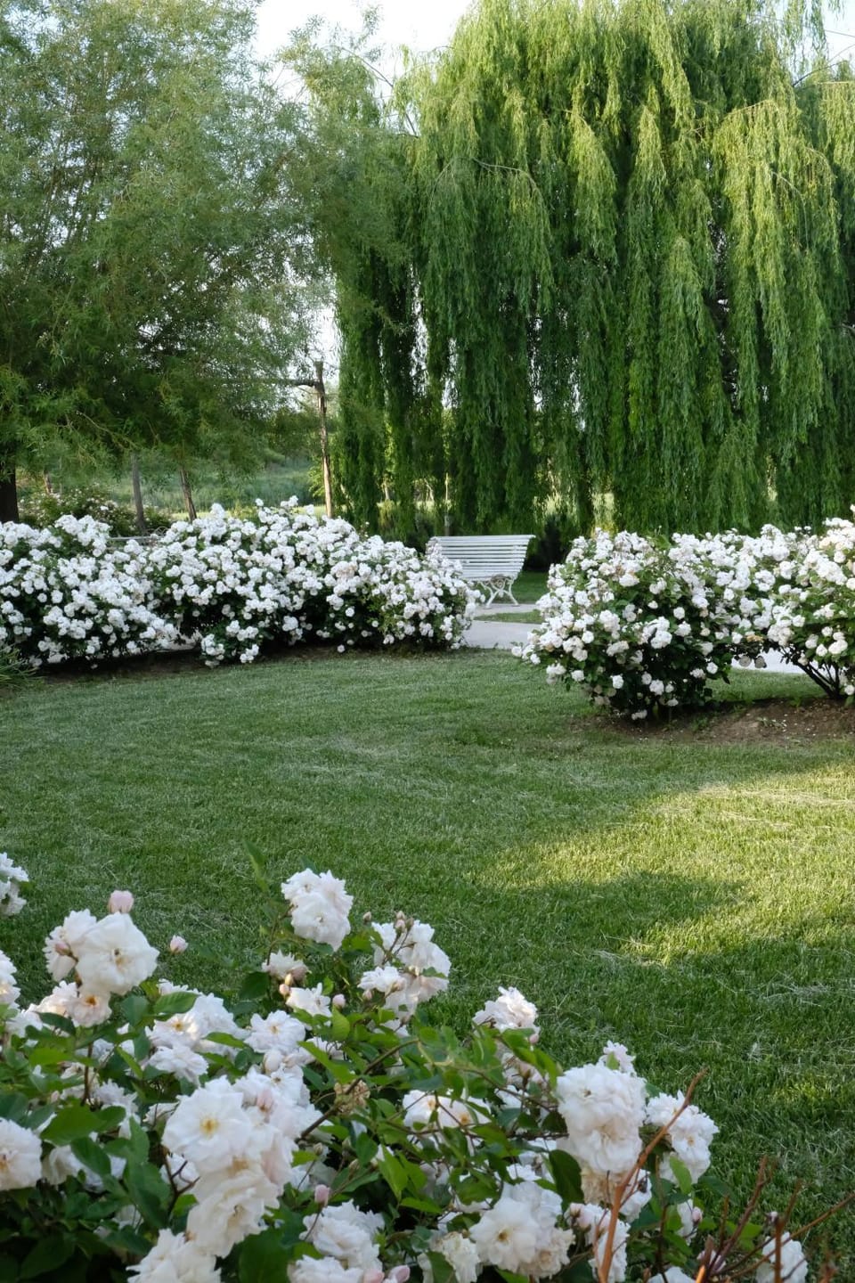 Spring, Day, Natural landscape, Garden, Garden, Garden view, Garden view