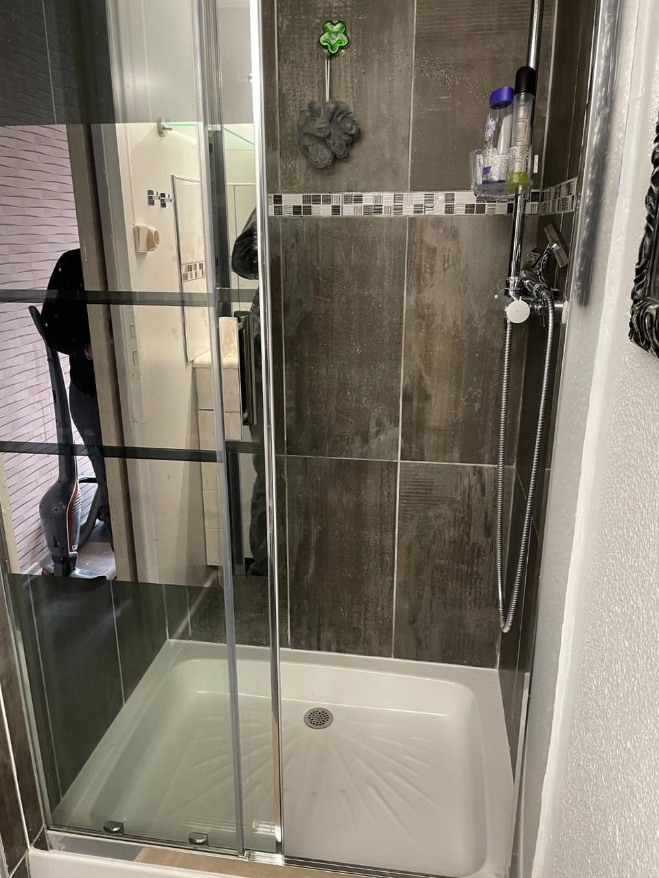 Bathroom, Living room
