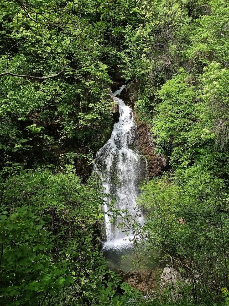 Spring, Natural landscape