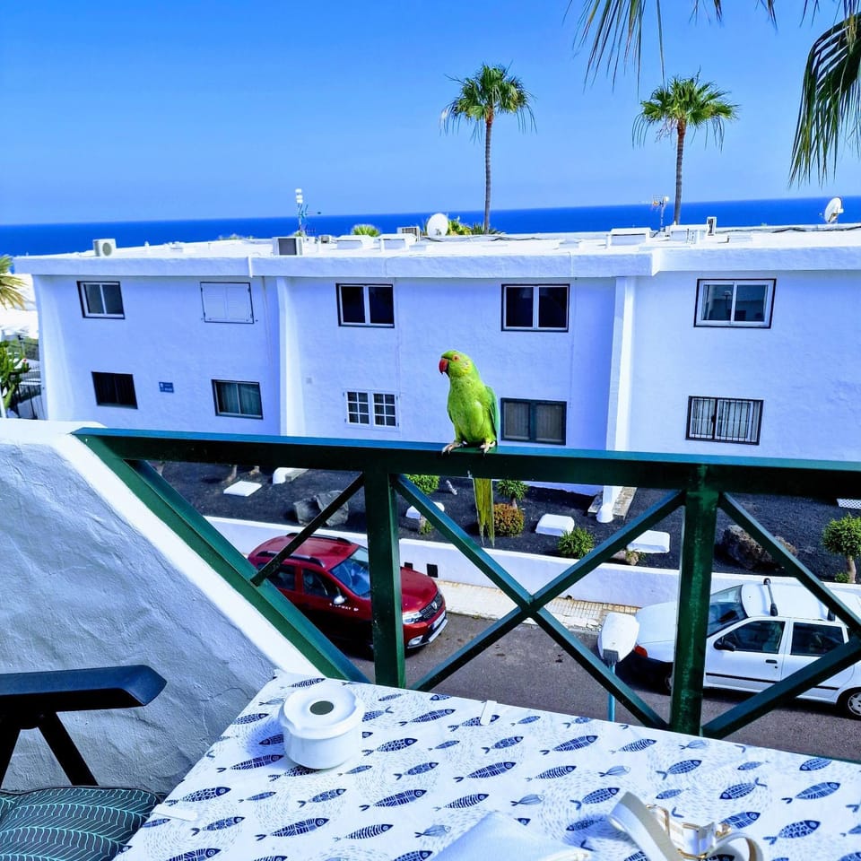 TOP FLOOR OCEAN VIEWS Lanzamar - Renovated Gem with a Sunny, Private Terrace & Elevator & Pool - Puerto del Carmen Apartment in Puerto del Carmen