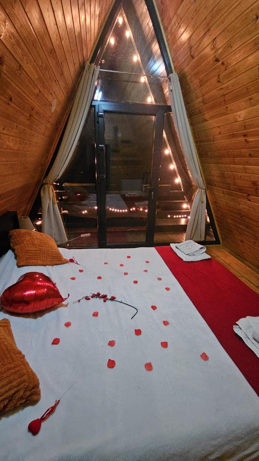 Cabana Apuseni Wild House in Romania