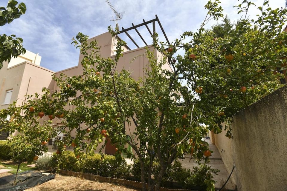 Villa Cat El Villa in Peloponnese Region