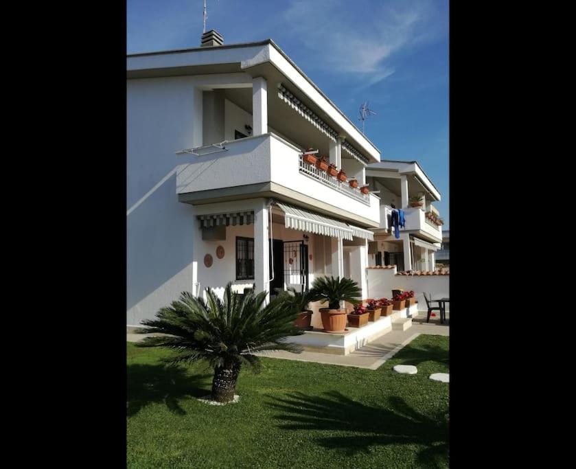Property building, Day, Garden, Garden view