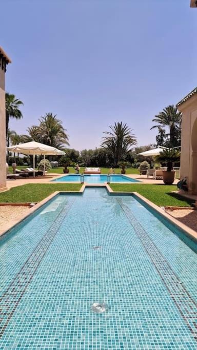 Garden, Garden view, Pool view, Swimming pool, Swimming pool