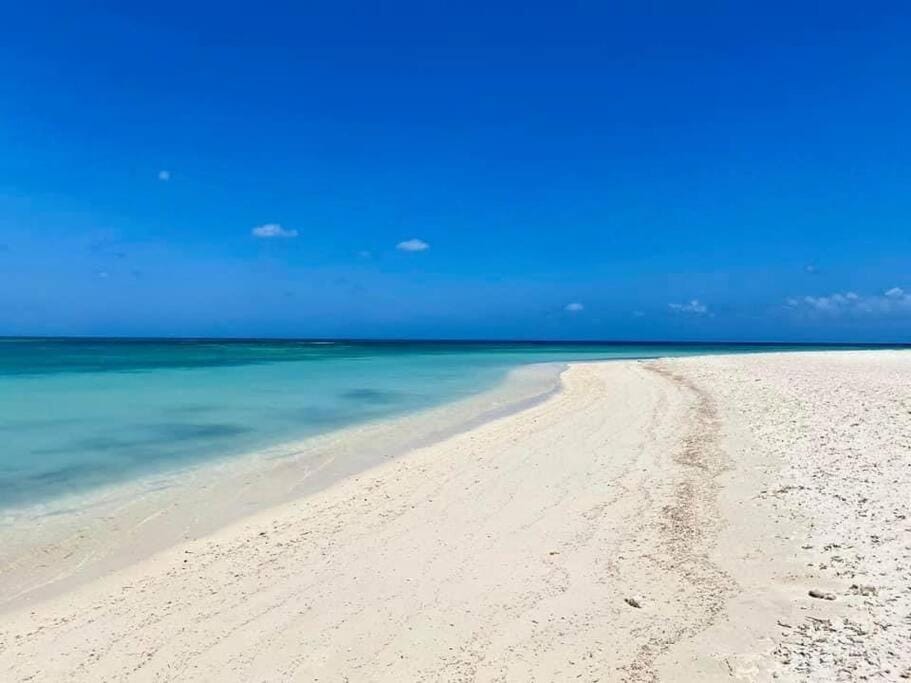 Aruba Breeze Condo A5 House in Noord