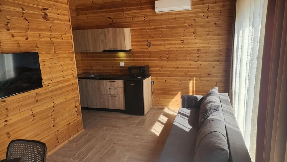 Communal lounge/ TV room, TV and multimedia, Kitchen or kitchenette, Living room, Seating area, Evening entertainment, minibar, oven