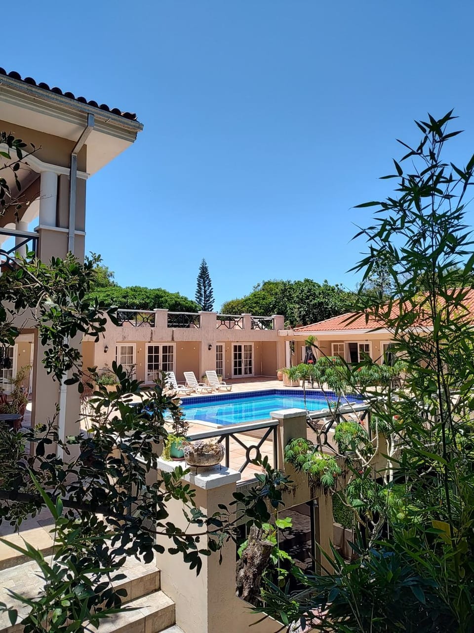 Garden, Garden view, Pool view, Swimming pool, sunbed