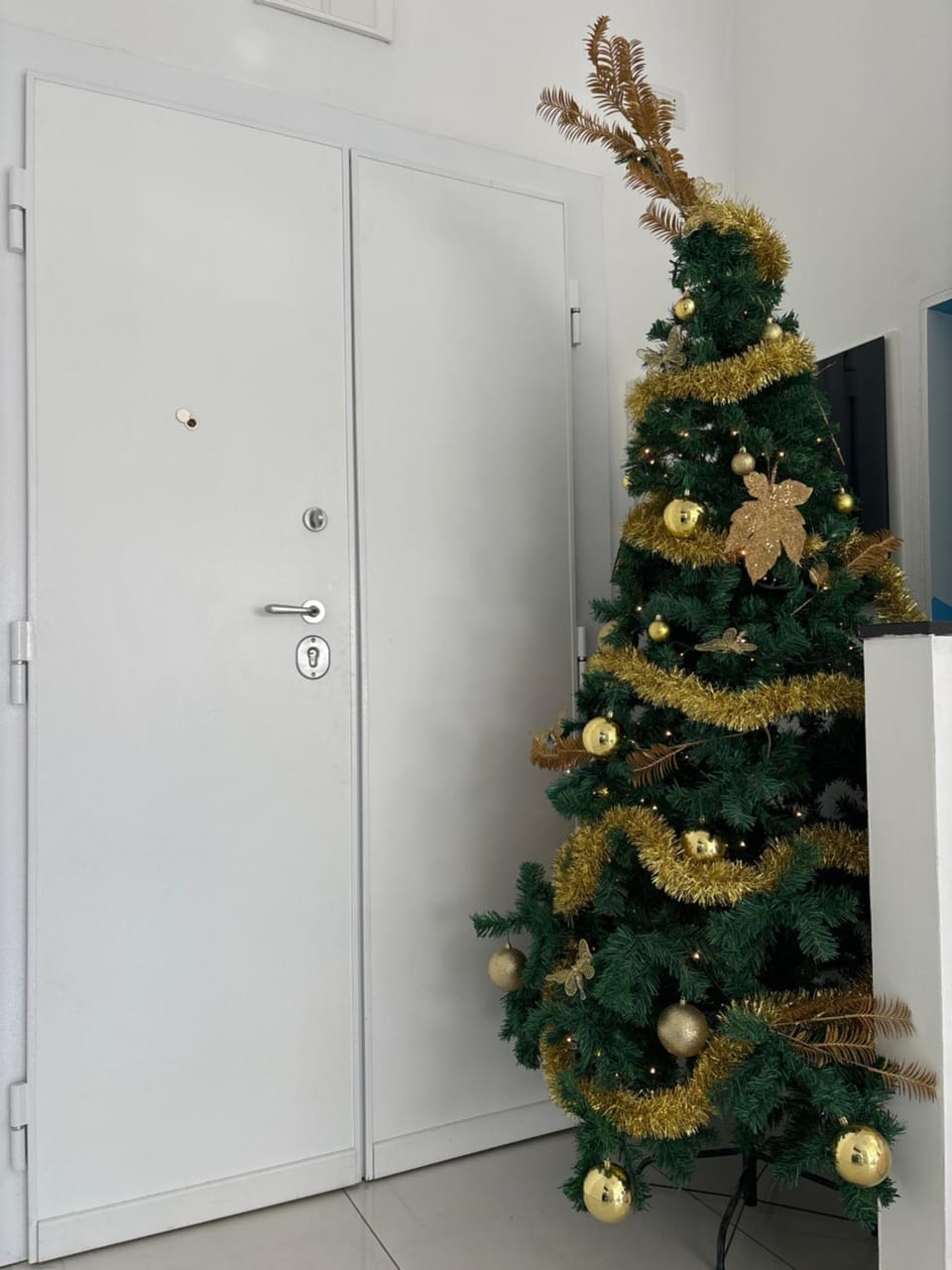 GIUBILEO PALACE Inn Apartment in Rome