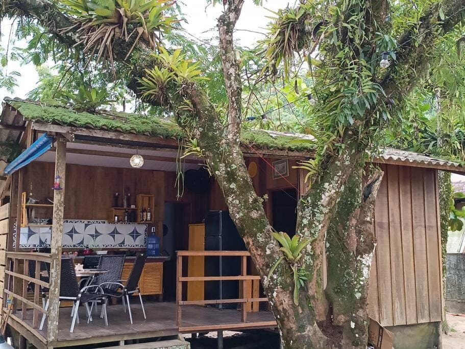 Property building, Patio, Spring, Day, Garden, View (from property/room), Balcony/Terrace, Dining area, Garden view