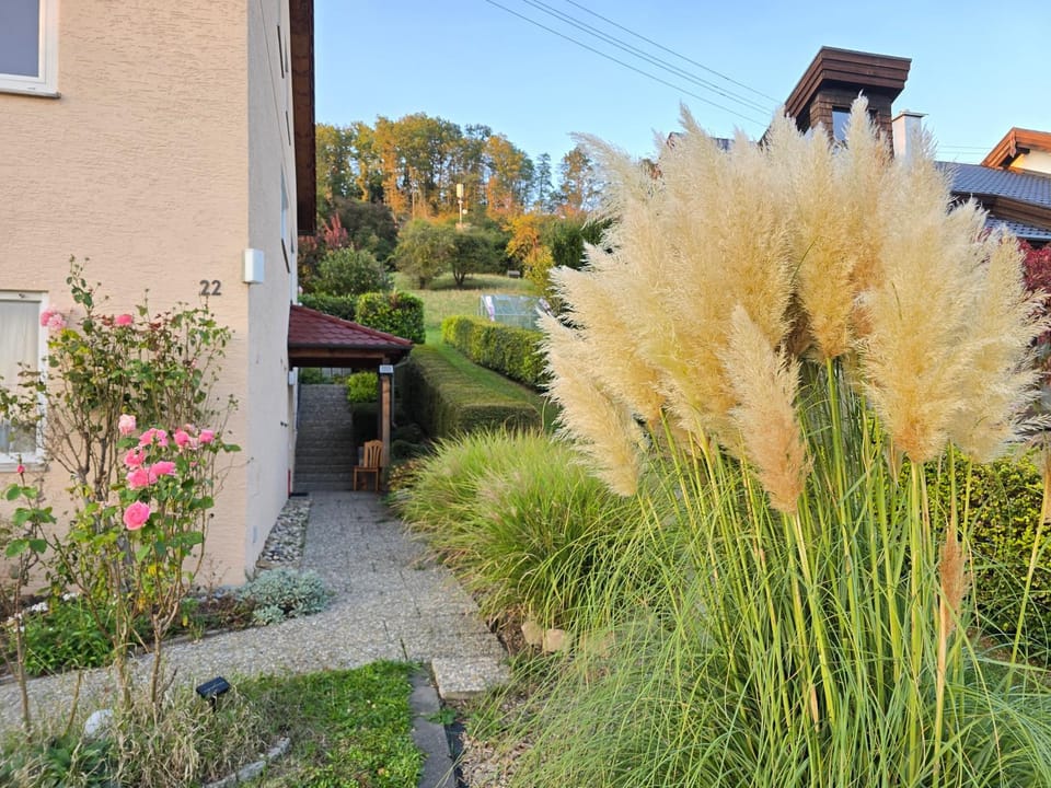 Garden, Garden, Balcony/Terrace