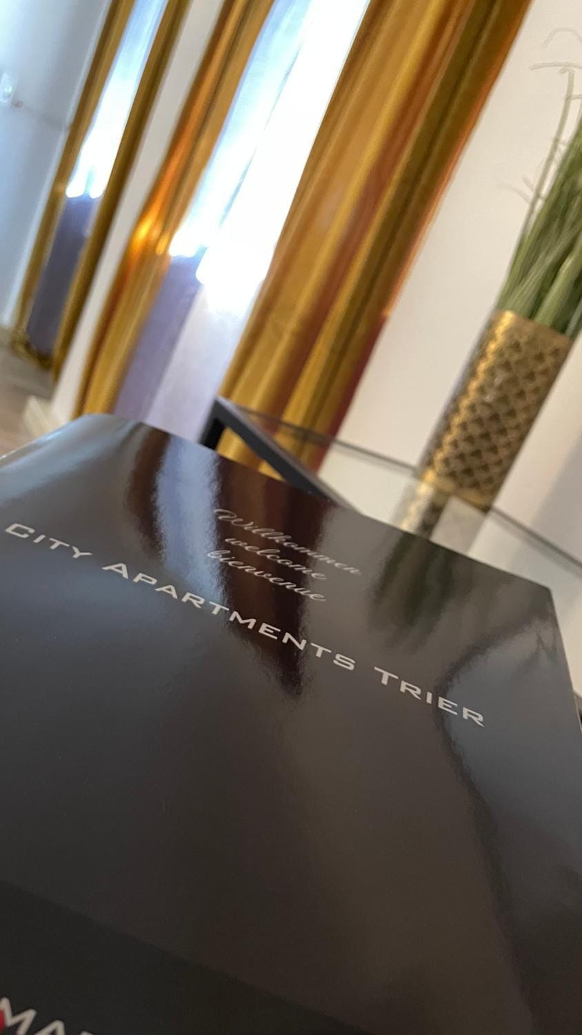 City Apartments Trier Suite 8 Apartment in Trier