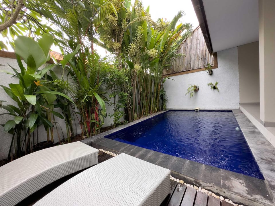 Swimming pool, sunbed
