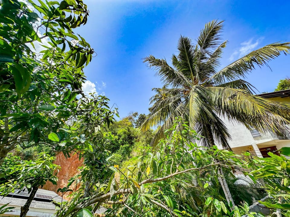 Damith Tourist Villa Bed and Breakfast in Mirissa