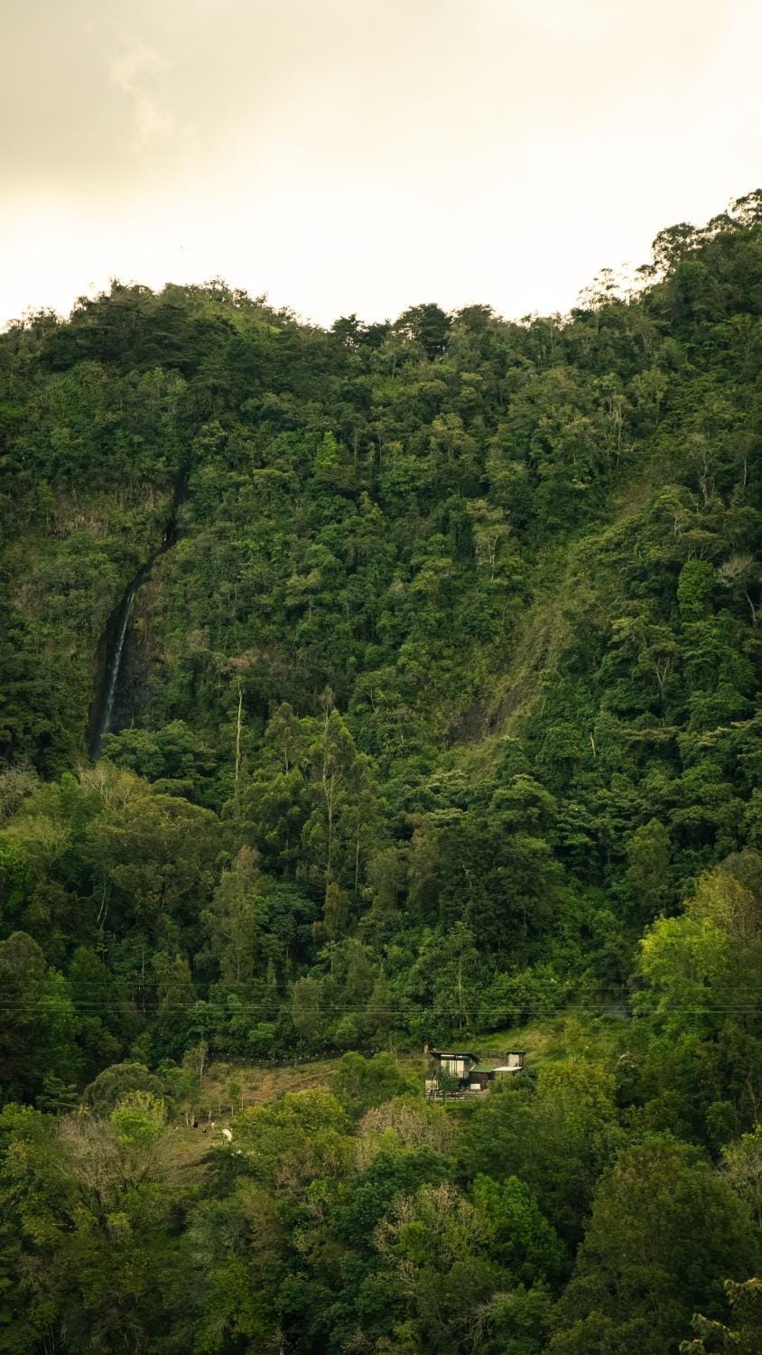 Natural landscape