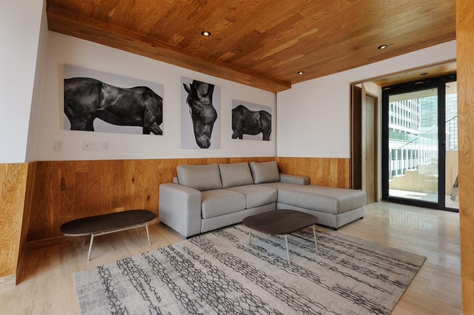 Communal lounge/ TV room, Area and facilities