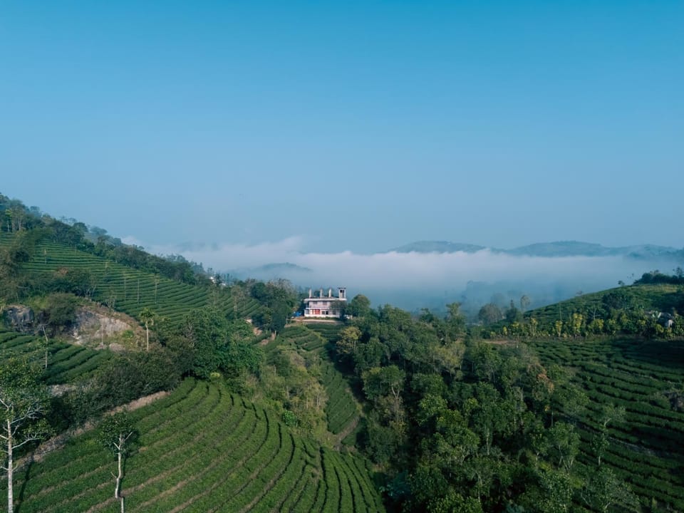 Property building, Natural landscape, Bird's eye view, View (from property/room), Mountain view
