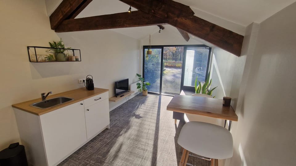Suite 21 Apartment in Limburg (province)