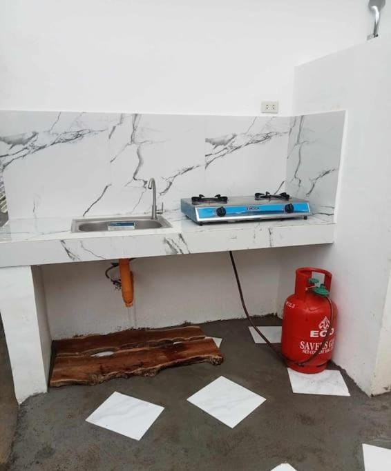 Kitchen or kitchenette, kitchen