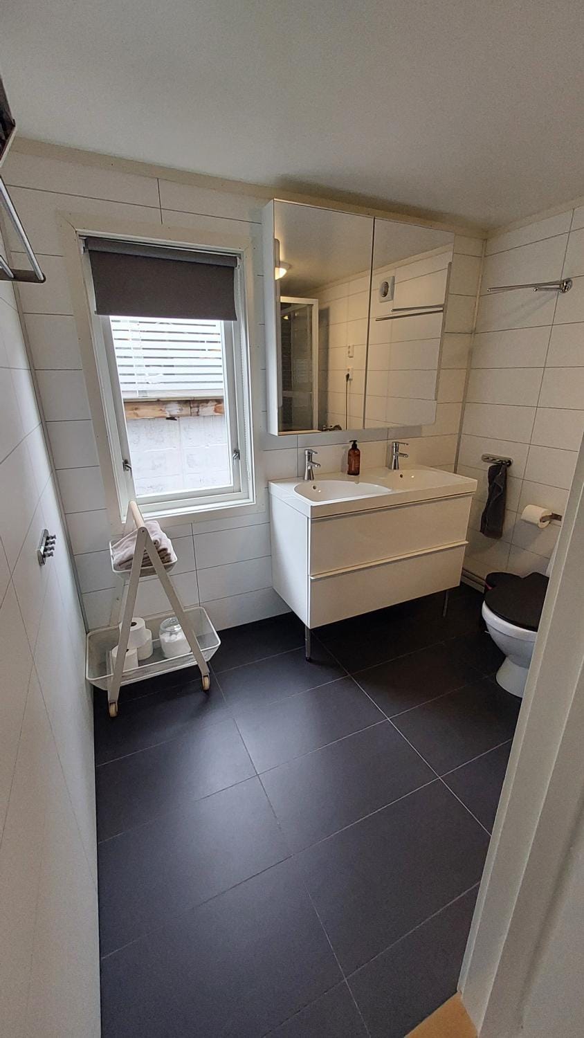Toilet, Bathroom