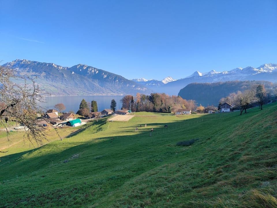 am See 5min nach Spiez 20min nach Interlaken Apartment in Canton of Bern (Region)