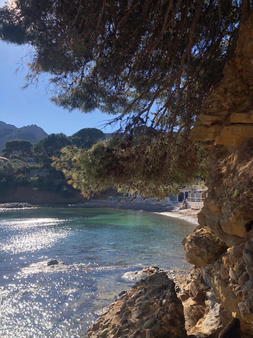 Natural landscape