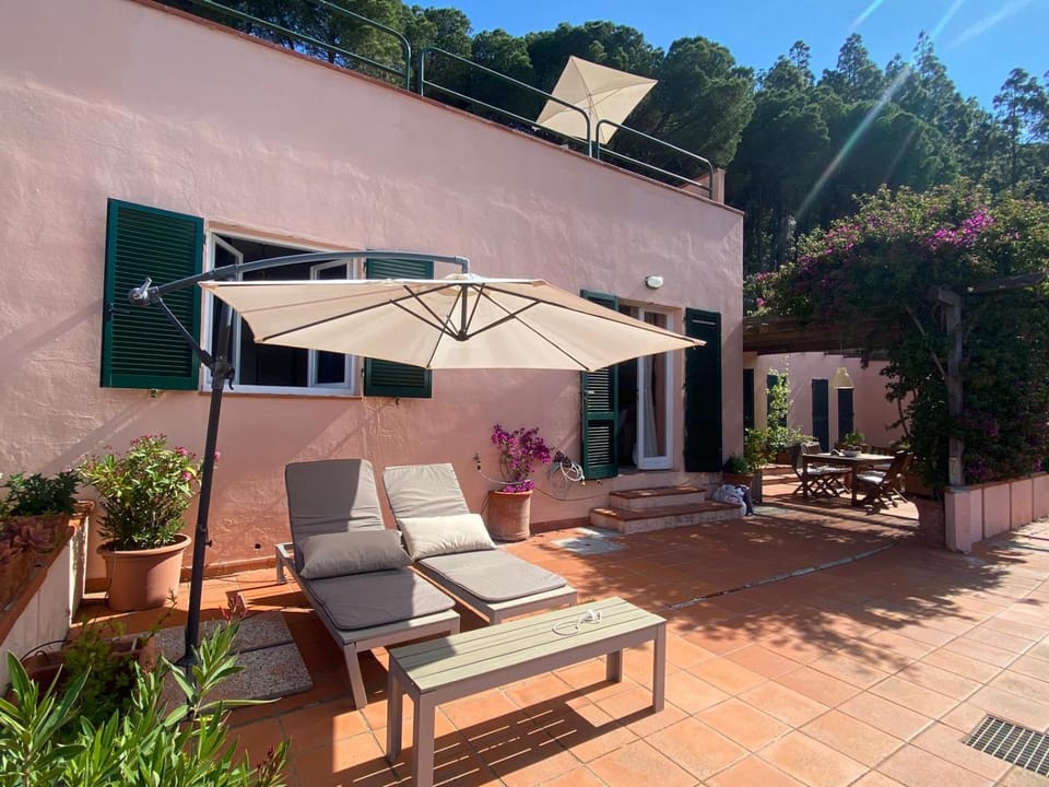 Property building, Patio, Day, Garden, Balcony/Terrace, Garden view, sunbed
