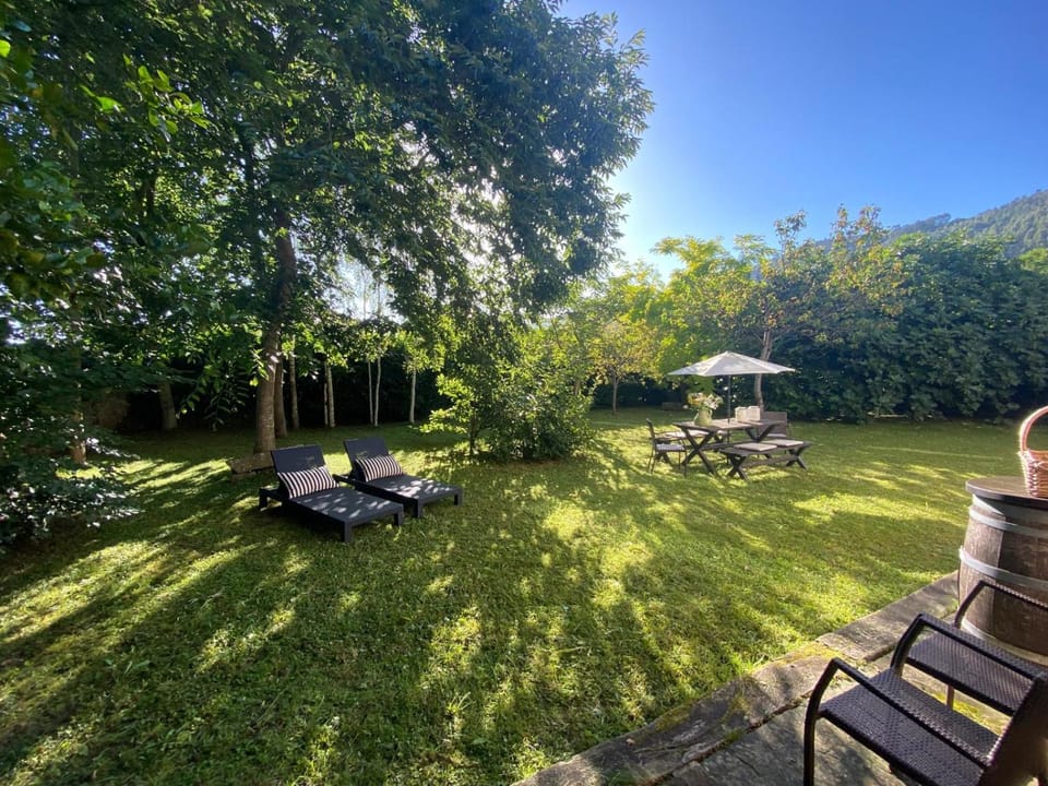 Garden, Garden view, Mountain view