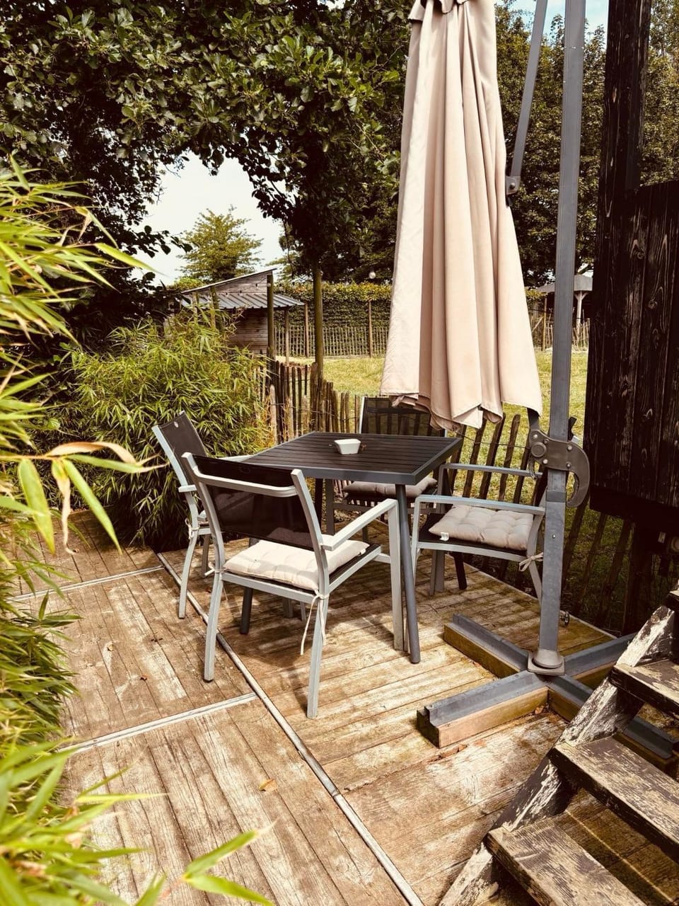 Patio, Spring, Garden, Garden view